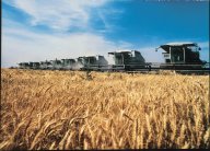 Agriculture in the Kingdom Click to view high resolution version