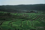 Agricultural terrace, Baha Click to view high resolution version