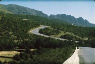 Al Jabal Forest, Baha Click to view high resolution version