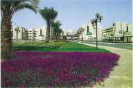 King Fahd Medical Center Click to view high resolution version